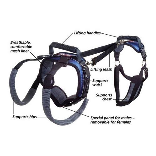 PetSafe CareLift Support Harness - Primary Image