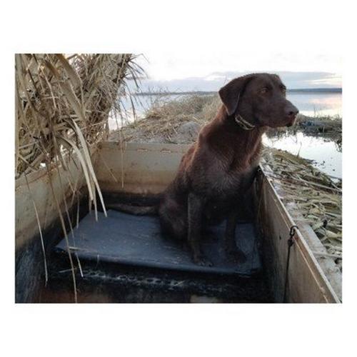 MOmarsh Kennel Dog Cot - Primary Image