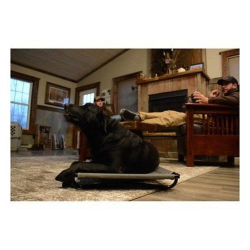 MOmarsh Kennel Dog Cot - Primary Image