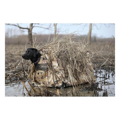 MOmarsh Invisi-Lab Dog Blind - Primary Image