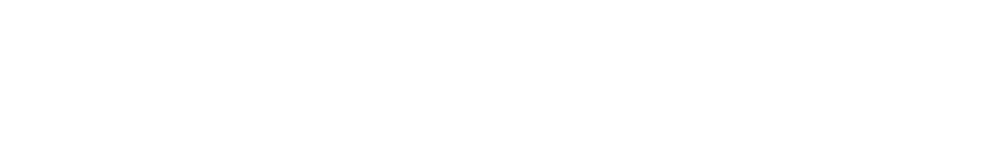 Vortex Optics Logo