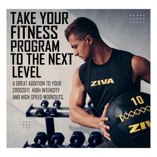 ZIVA Wall Ball - Primary Image