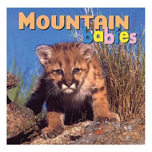 Liberty Mountain - Mountain Babies Book - Primary Image