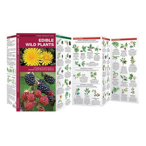 Waterford Press Edible Wild Plants Pocket Guide - Primary Image
