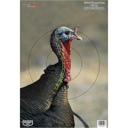 Birchwood Casey Dirty Bird PreGame Turkey Target 12"x18" 8 Pack - Primary Image