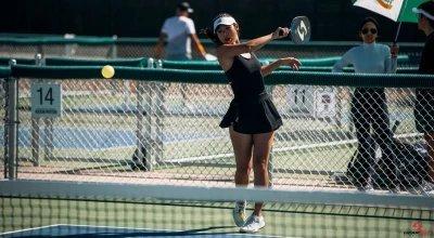 How to Choose a Pickleball Paddle