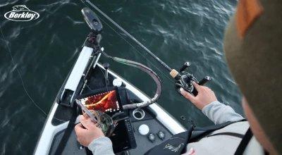 Best Forward Facing Sonar Baits