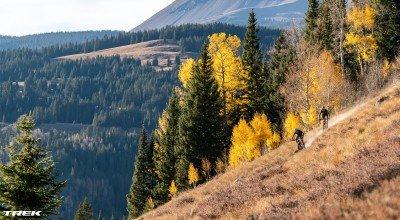 Hardtail vs. Full Suspension Mountain Bikes