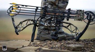 Types of Bow—A Complete Guide