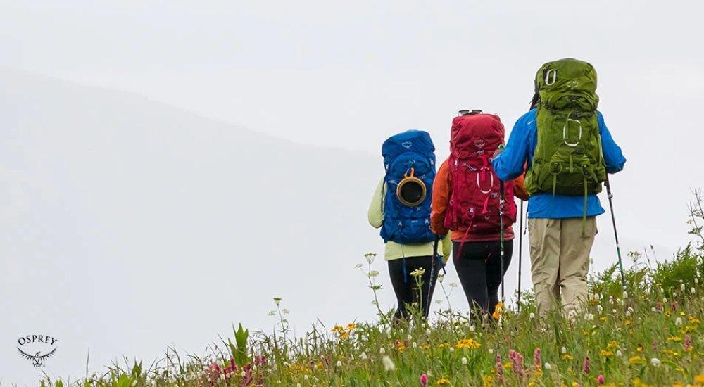 three hikers backpacking through a flower field