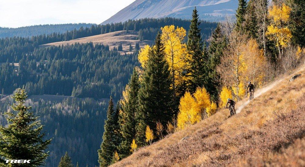 bikers mountain biking in the forest