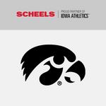 The Fan-Brand Iowa Hawkeyes Slimline Light - Thumbnail 2 of 3