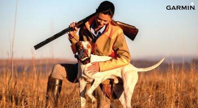 Best Dog Training Collars of 2025