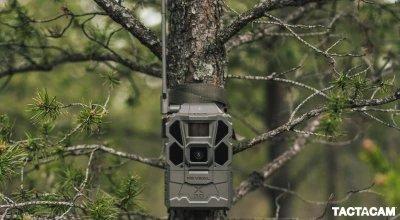 Best Trail Cameras