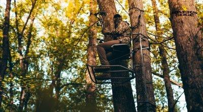 Best Treestands