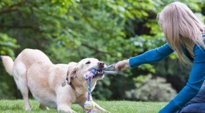 Gifts For Dog Lovers
