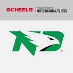 Wincraft North Dakota Fighting Hawks 12"x30" Premium Pennant - Thumbnail 2 of 2