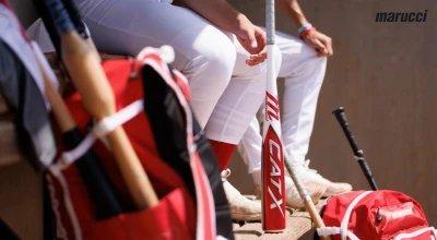 Best Baseball Bats for 2024: BBCOR & USSSA