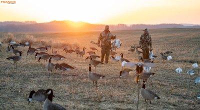Early-Season Canada Goose Hunting Tips