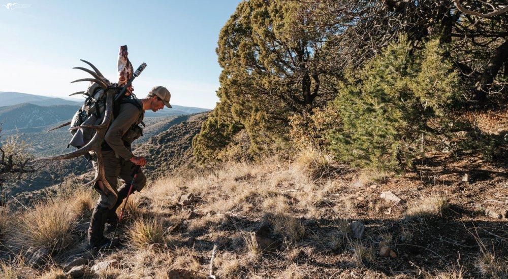 a hunter in the backcountry carrying elk on his back