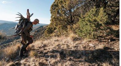 Master the Backcountry Hunt—What Is a Spike Camp?