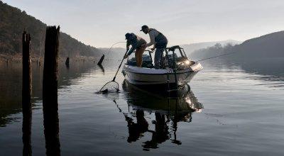 6 Expert-Approved Walleye Setups