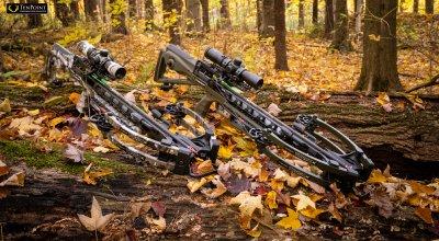 A Complete Guide on How to Choose a Crossbow