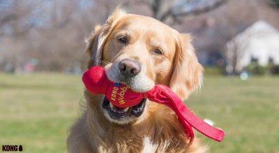 Gifts For Dog Lovers