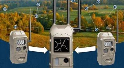 Cuddeback Cellular Trail Cameras