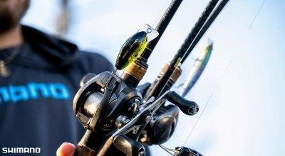 Choosing the Right Reel: Baitcaster vs. Spinning