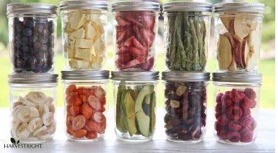 How to Freeze Dry Food