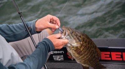 SCHEELS Lure of the Week