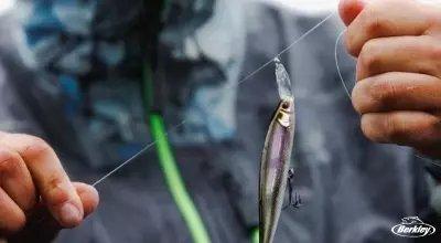 Which is Better: Braid vs. Mono?