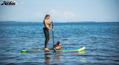 Paddle Boarding for Beginners
