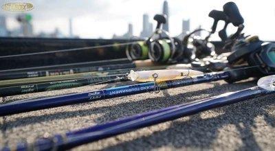 Spinning Rod vs. Casting Rod: What's the Difference?