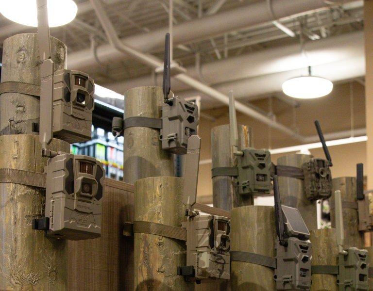 Trail Cameras