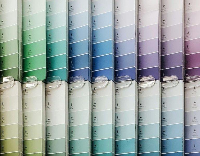 Paint Selection