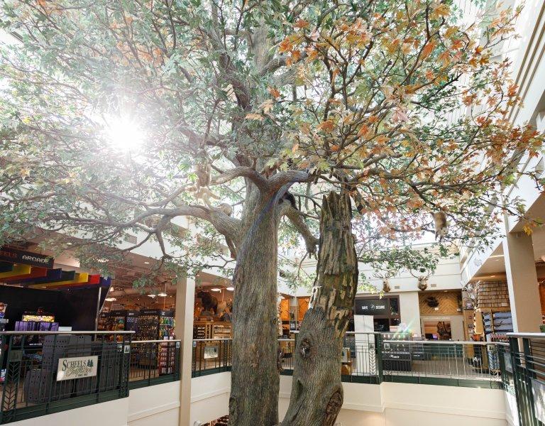 Giant Tree