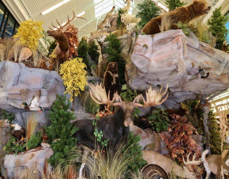 Wildlife Mountain
