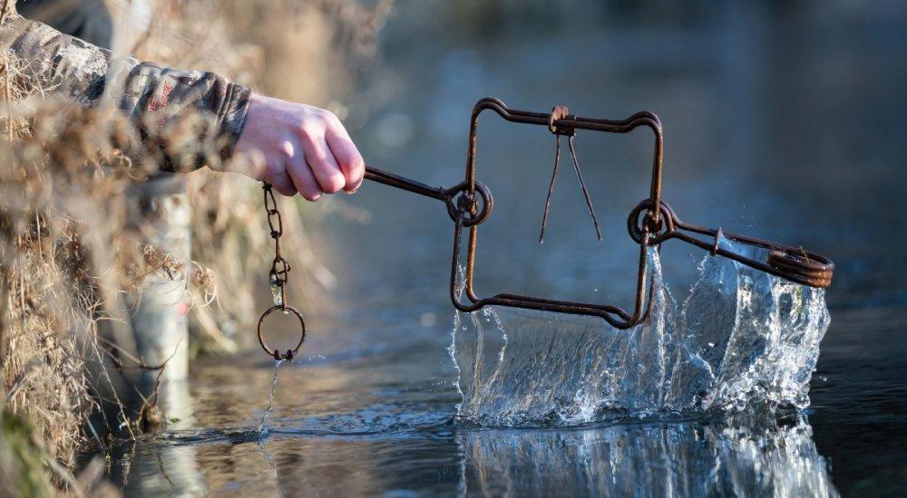 person setting trap by water