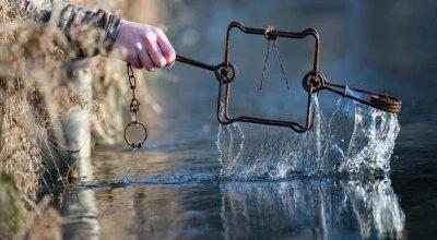 How to Start Trapping