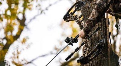 Hunting Tree Saddle Buying Guide