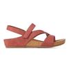 Desert Rose