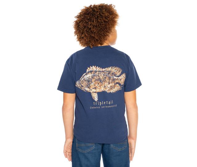 PHINS TRIPLETAIL in NAVY color