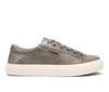Olive Fatigue