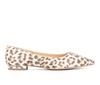 Leopard Wide