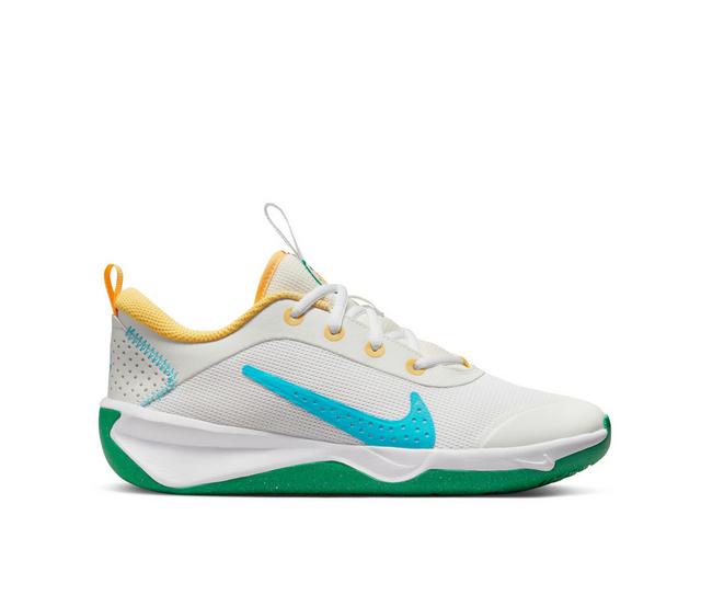 Boys' Nike Big Kid Omni Multi Court Shoes in White/Blue color