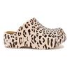 Lt Leopard