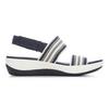 Navy Multi