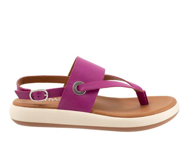 Women's Softwalk Joliet Flip-Flop Sandals in Magenta color